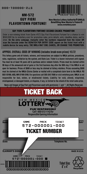 Ticket Back