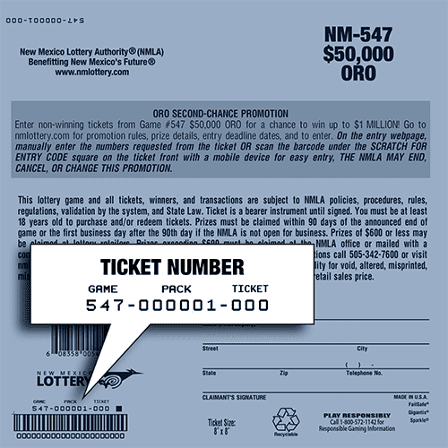 Ticket Back